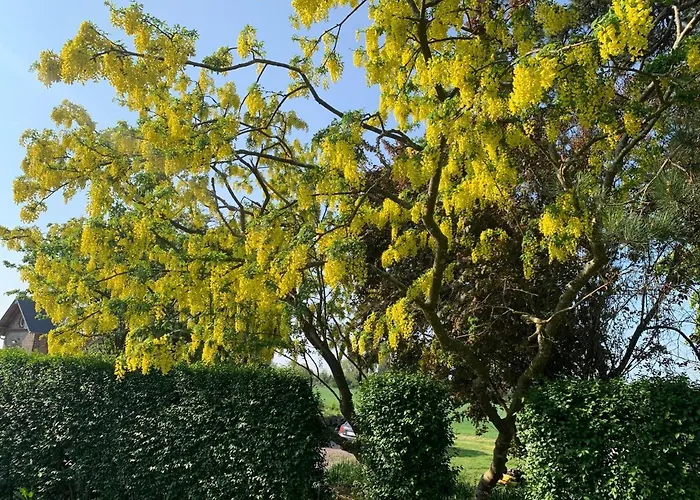 Le Manoir Des Breholles Goustranville